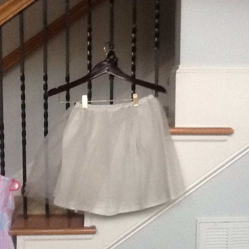 JCrew Crewcuts Tulle Skirt